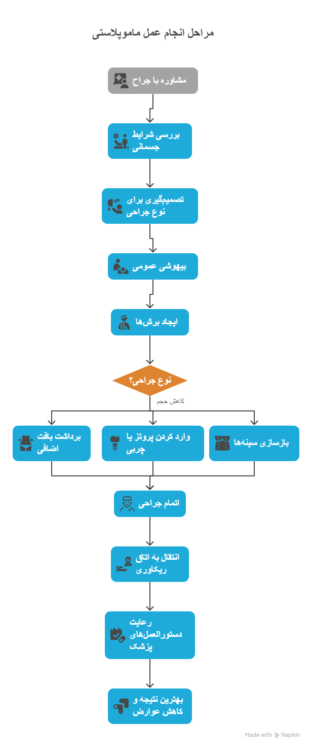 ماموپلاستی