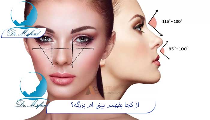 از کجا بفهمم دماغم بزرگه؟