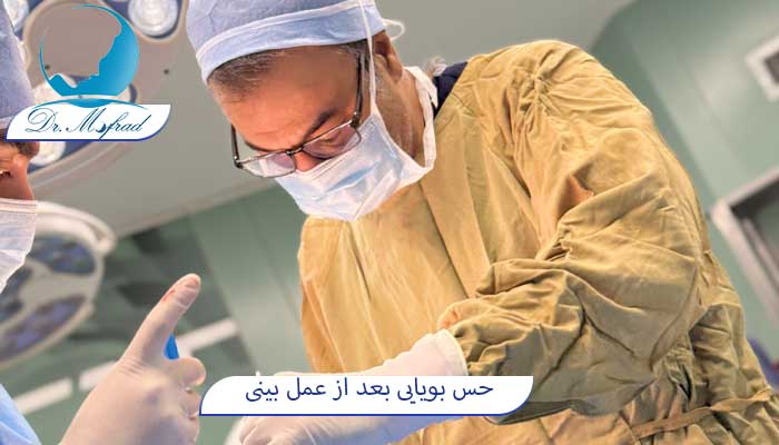 حس بویایی بعد از عمل بینی