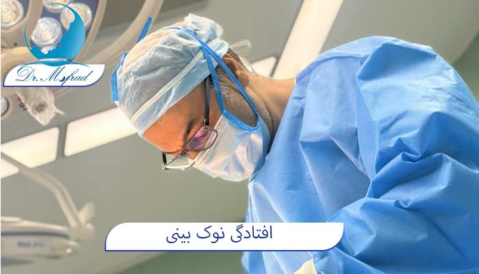 نوک بینی
