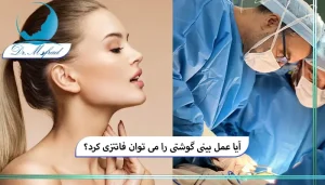 آیا بینی گوشتی هم می‌تواند فانتزی کرد؟