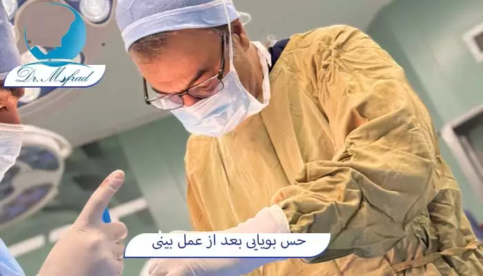 حس بویایی بعد از عمل بینی